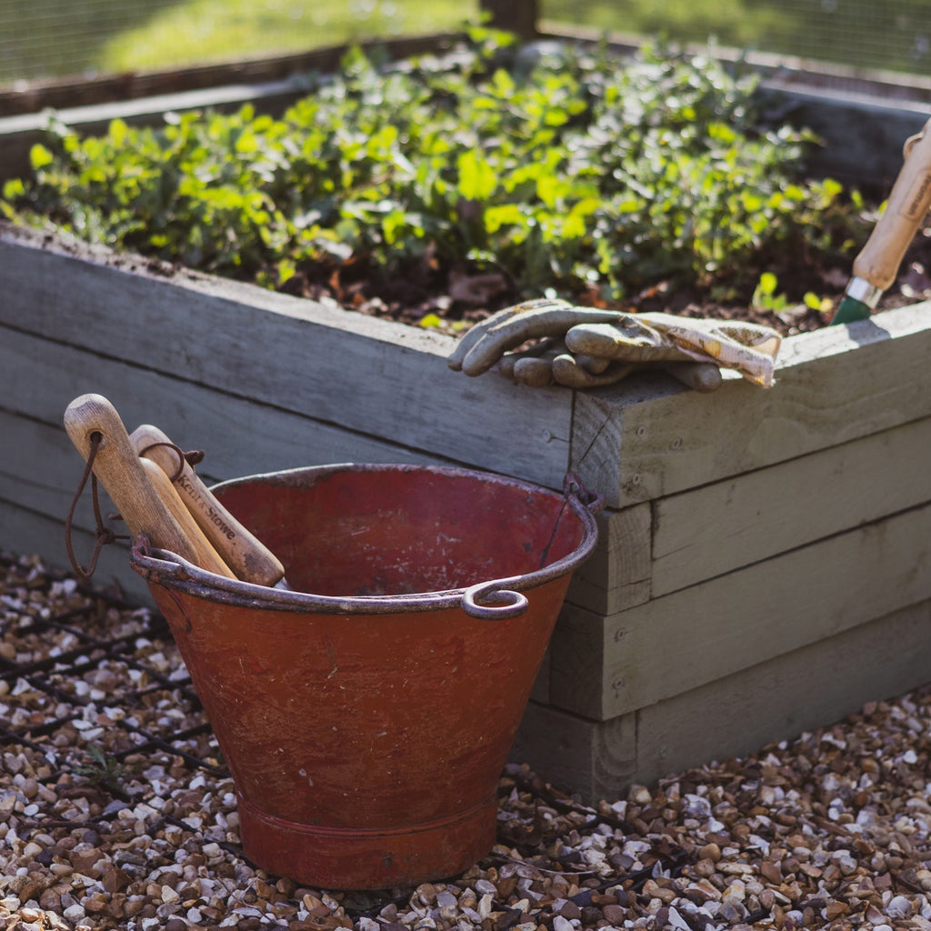 How gardening helped me slow down and let go of perfectionism