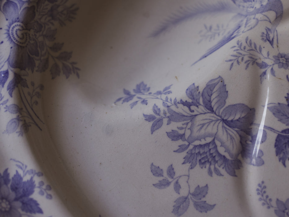Large Antique English Blue & White 'Asiatic Pheasant' Oval Platter with Sauce Recess by F C & Co - Scalloped Ironstone Serving Dish