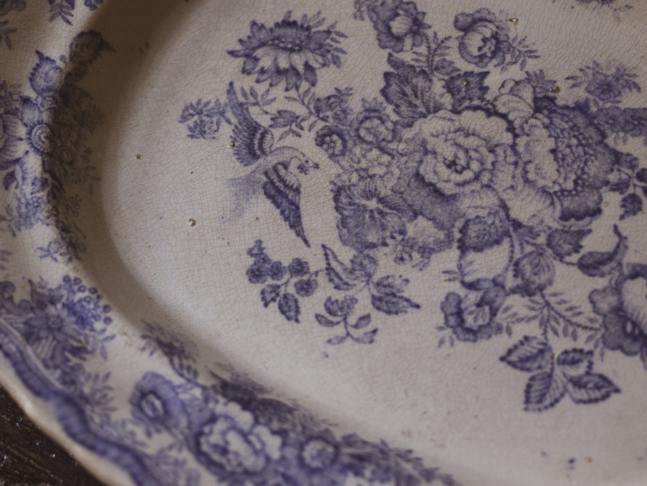 Antique French Blue & White 'Asiatic Pheasant' Oval Platter Ironstone Serving Plate Antique Transferware c.1880