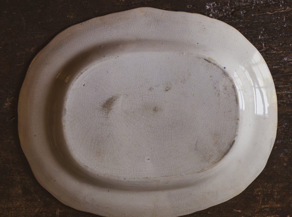 Antique French Blue & White 'Asiatic Pheasant' Oval Platter Ironstone Serving Plate Antique Transferware c.1880