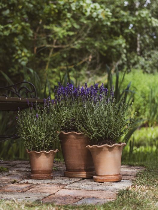 The Frilly Plant Pot Set of Three