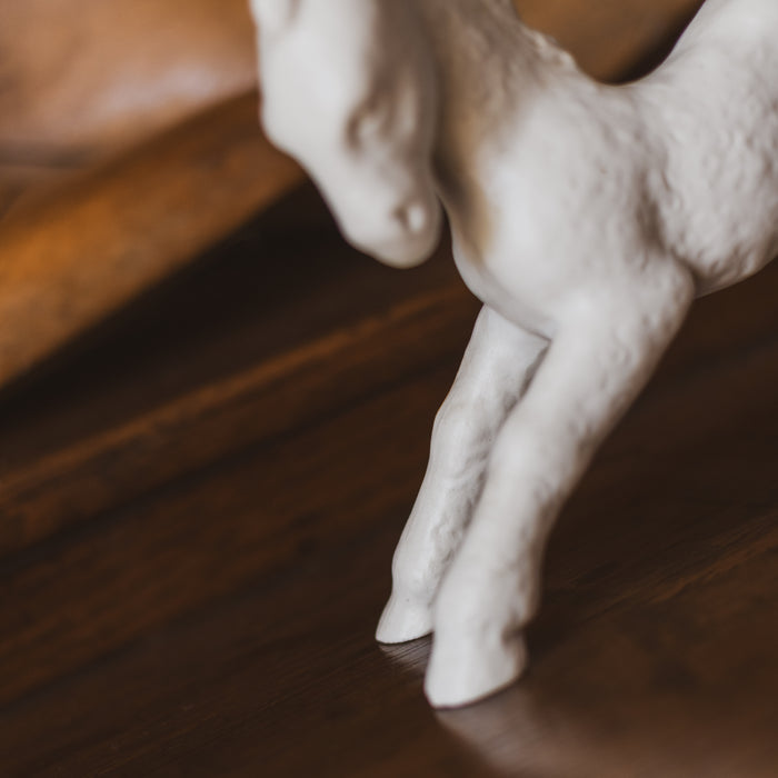 Vintage German White Porcelain Horse Foal Figurine by Schaubach Kunst - 1960s