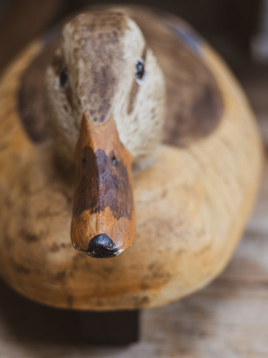 Large Naïve Folky Primitive Decoy Duck
